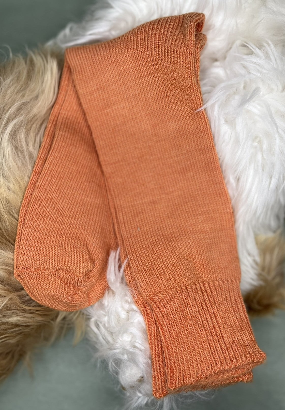 apricot alpaca everyday sock fluffy background