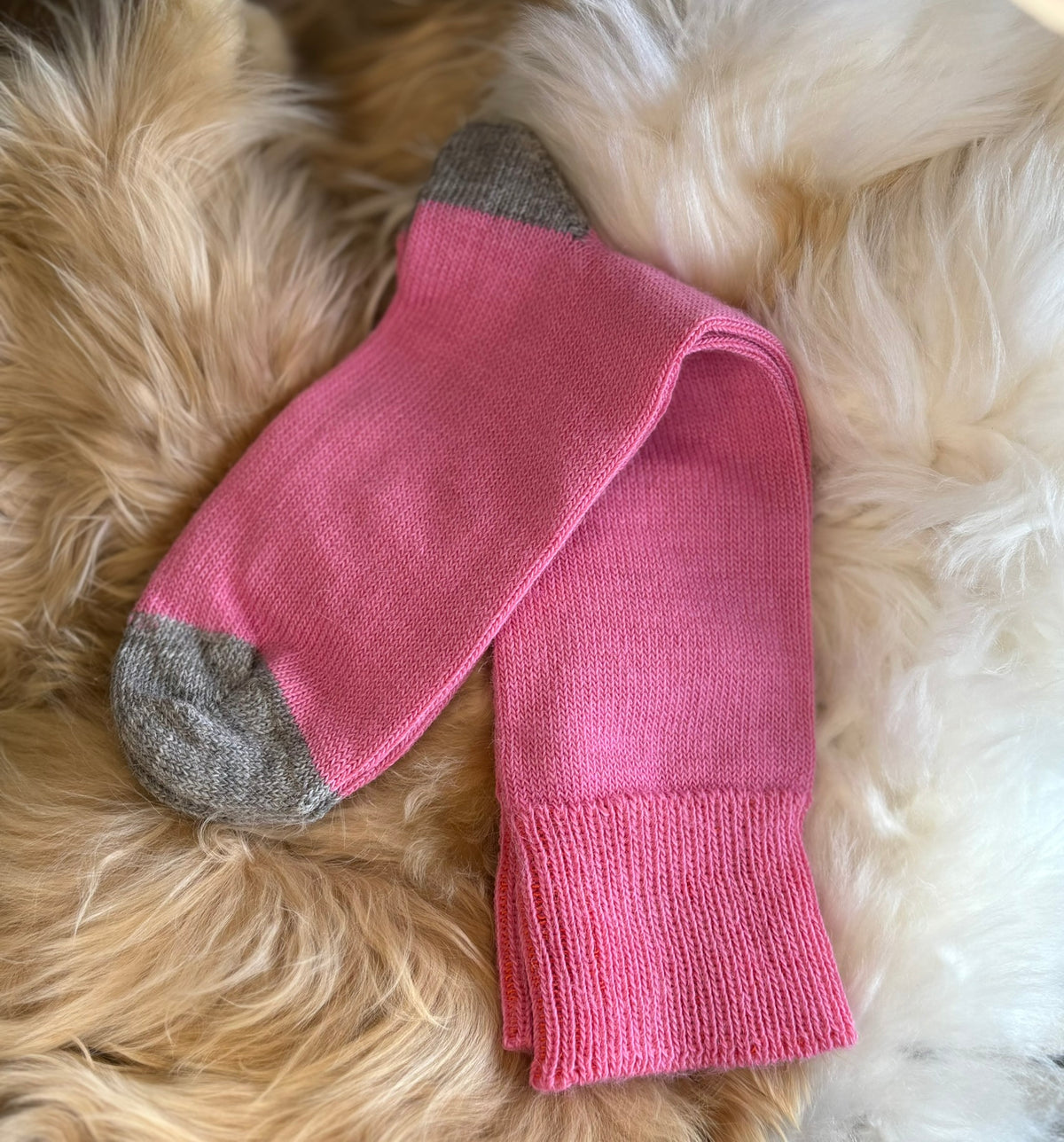 bright pink with grey toe and heel alpaca everyday socks fluffy background