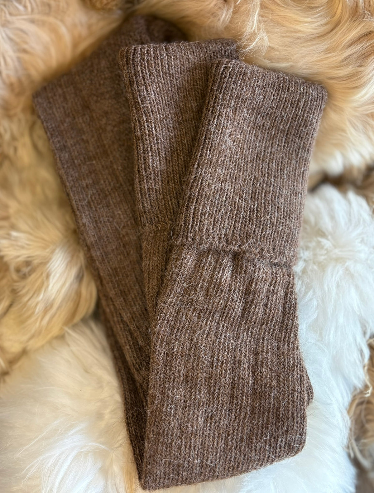 brown alpaca country socks fluffy background