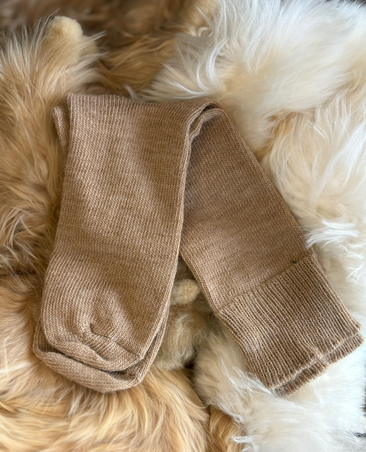 Alpaca Everyday Socks for Children