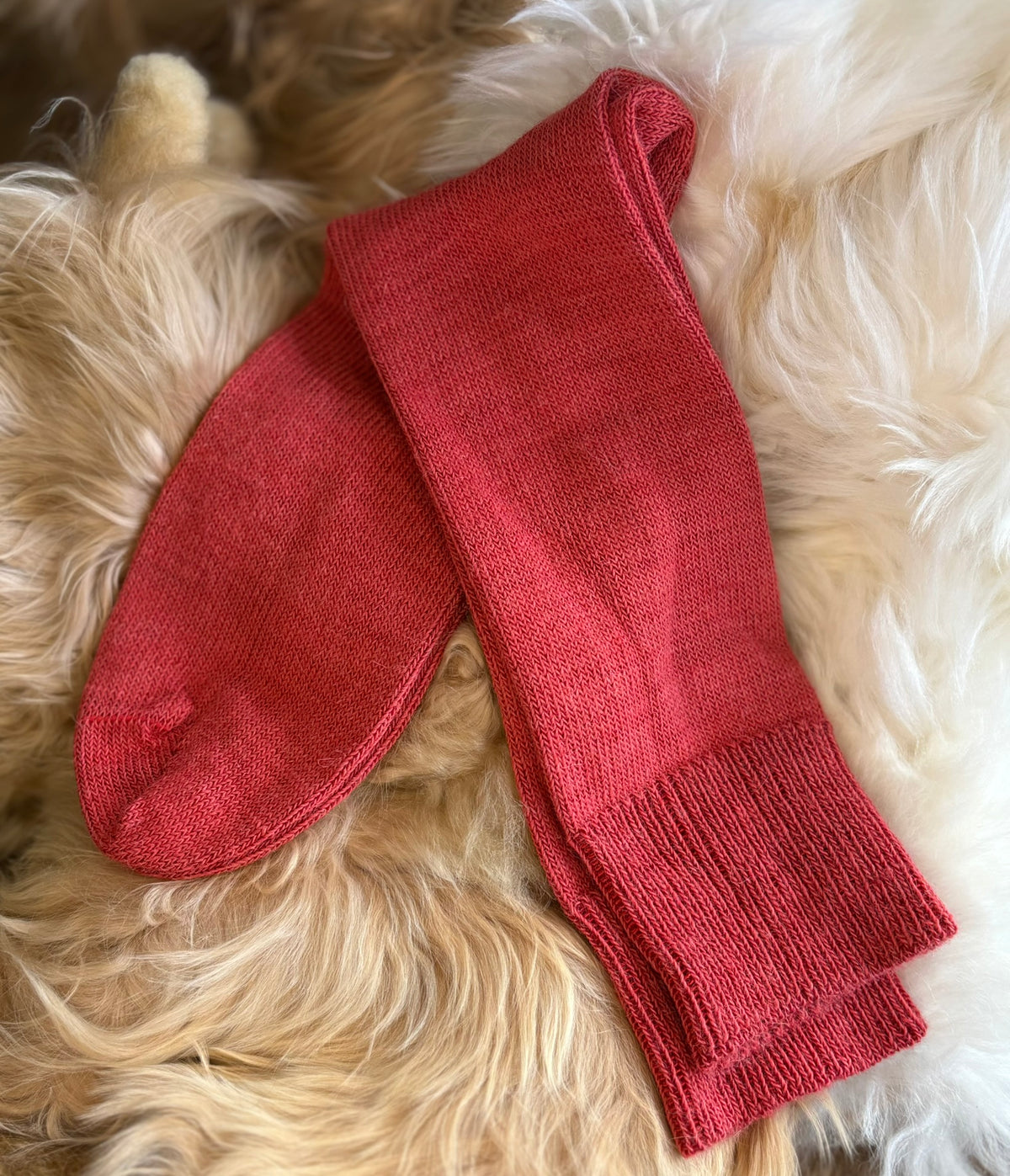 Alpaca Everyday Socks for Children