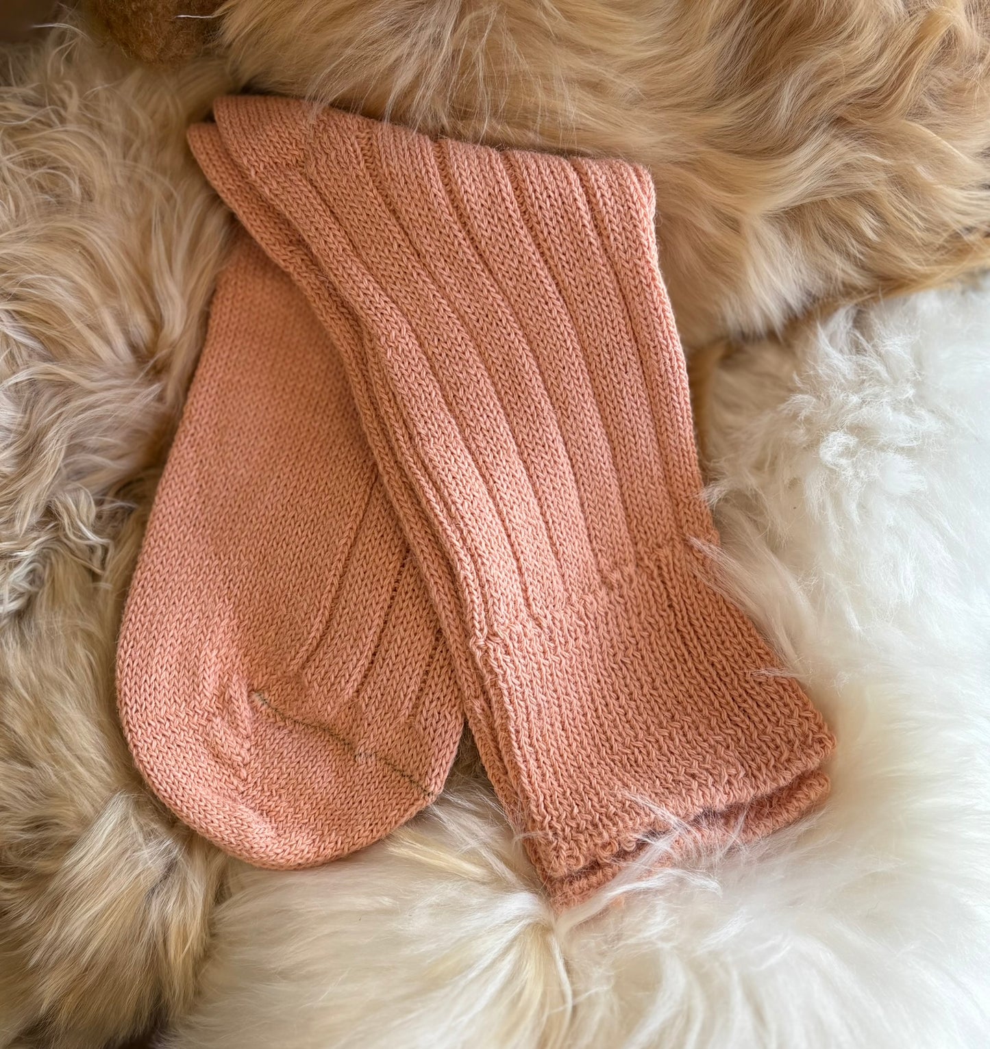 Alpaca Bed Socks