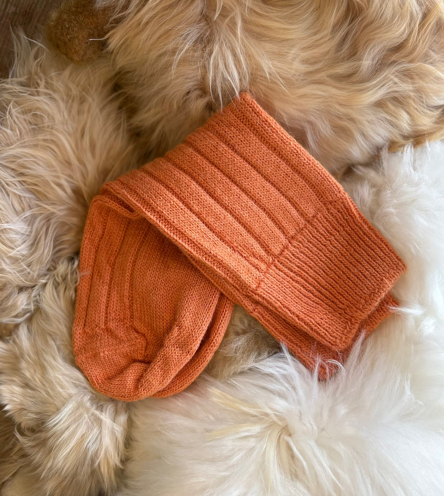 Alpaca Bed Socks