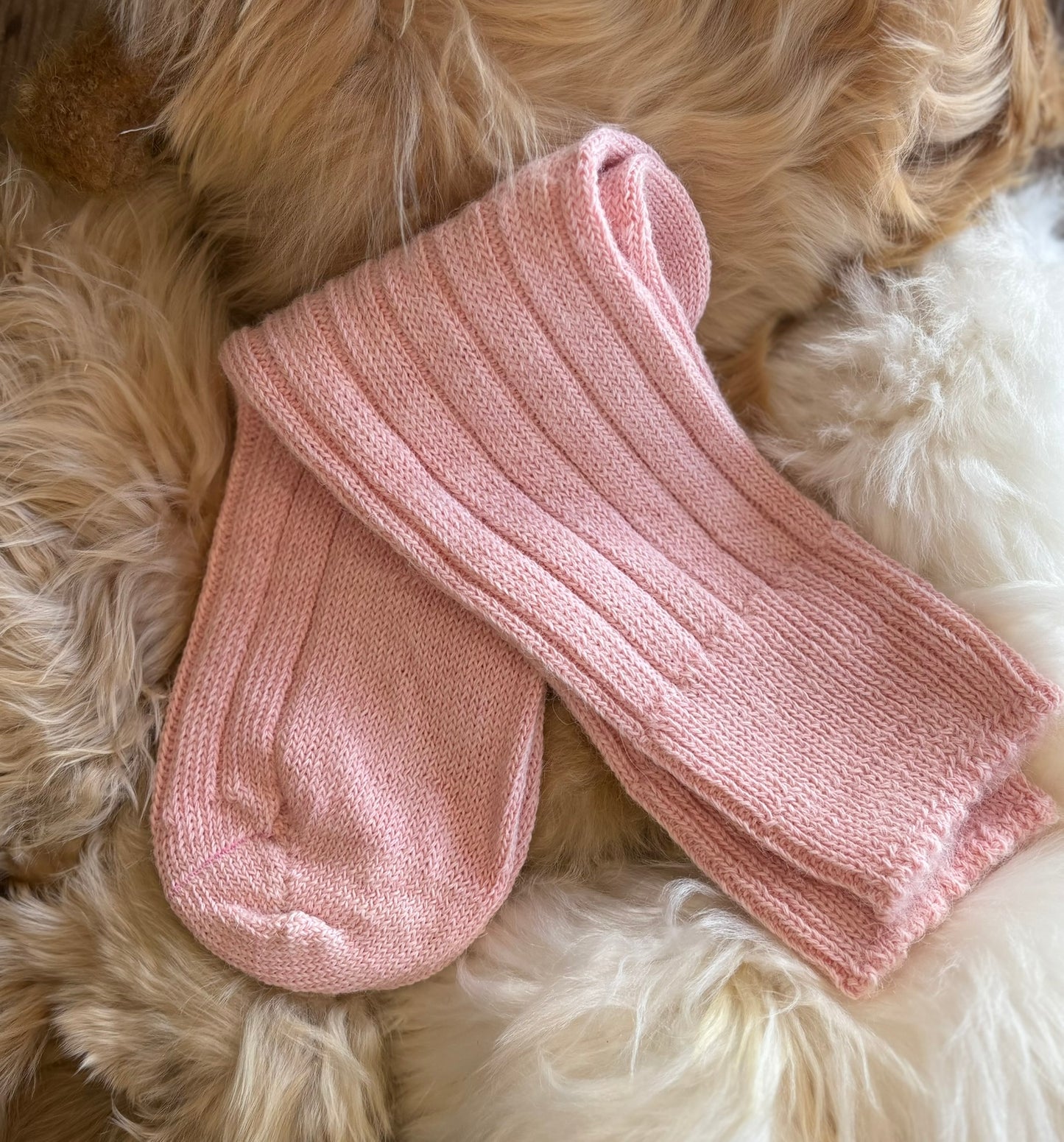 Alpaca Bed Socks