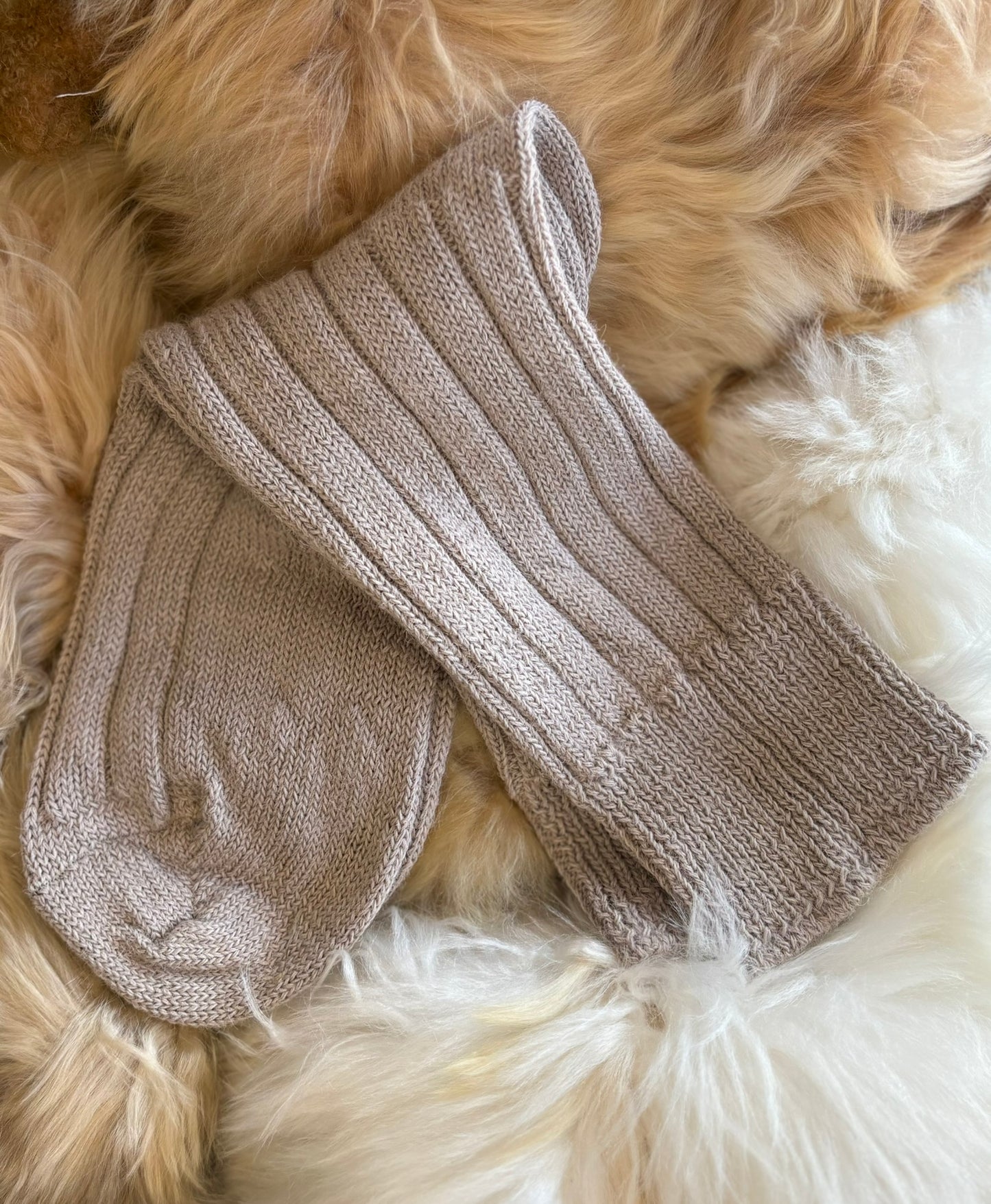 Alpaca Bed Socks