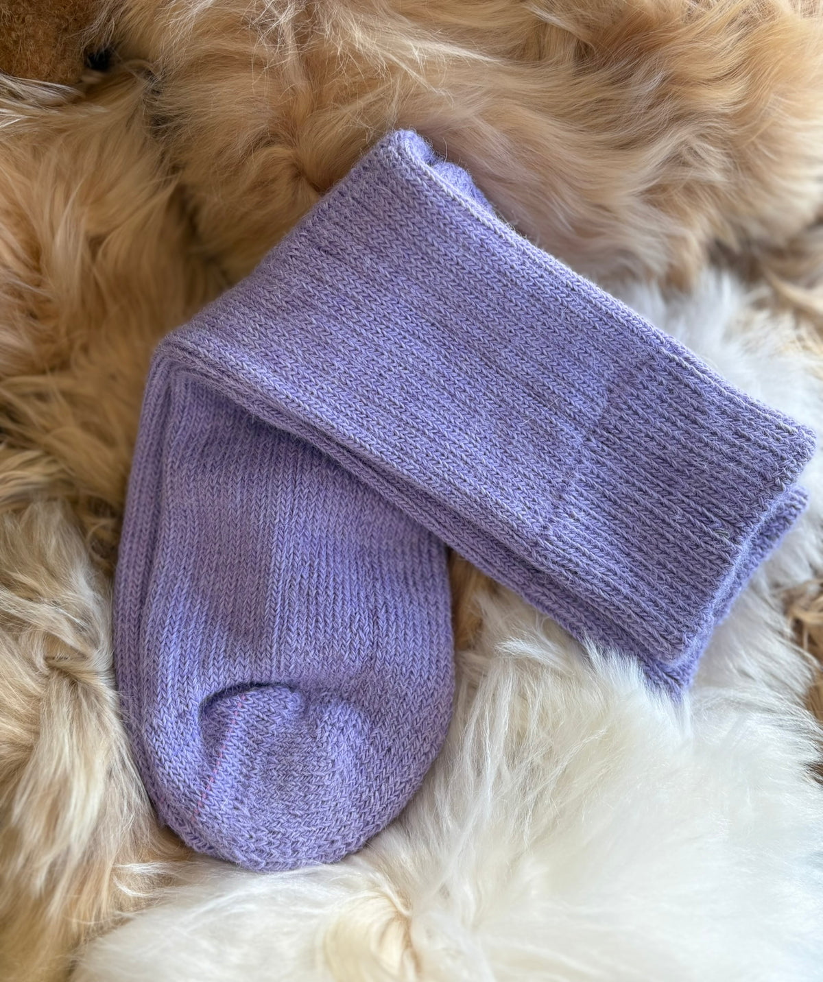 Pair of lilac short ribbed alpaca socks on a fluffy beige surface