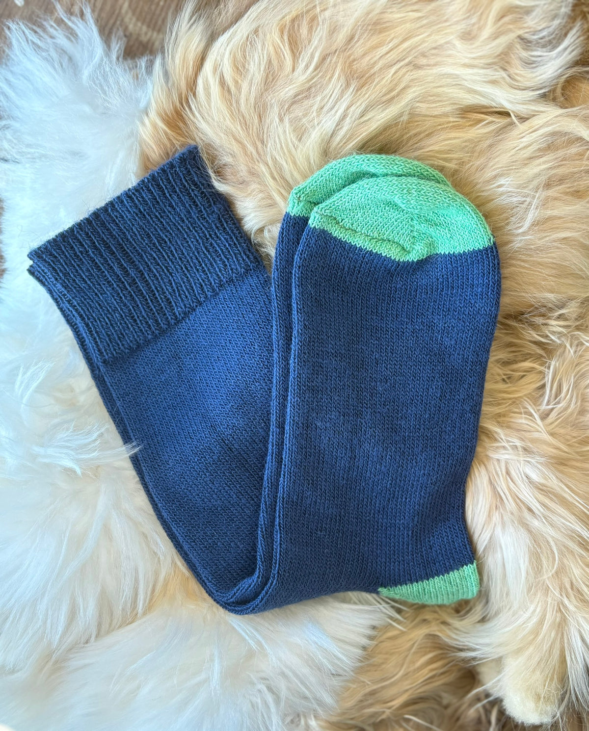 navy with pea green toe and heel everyday alpaca socks fluffy background