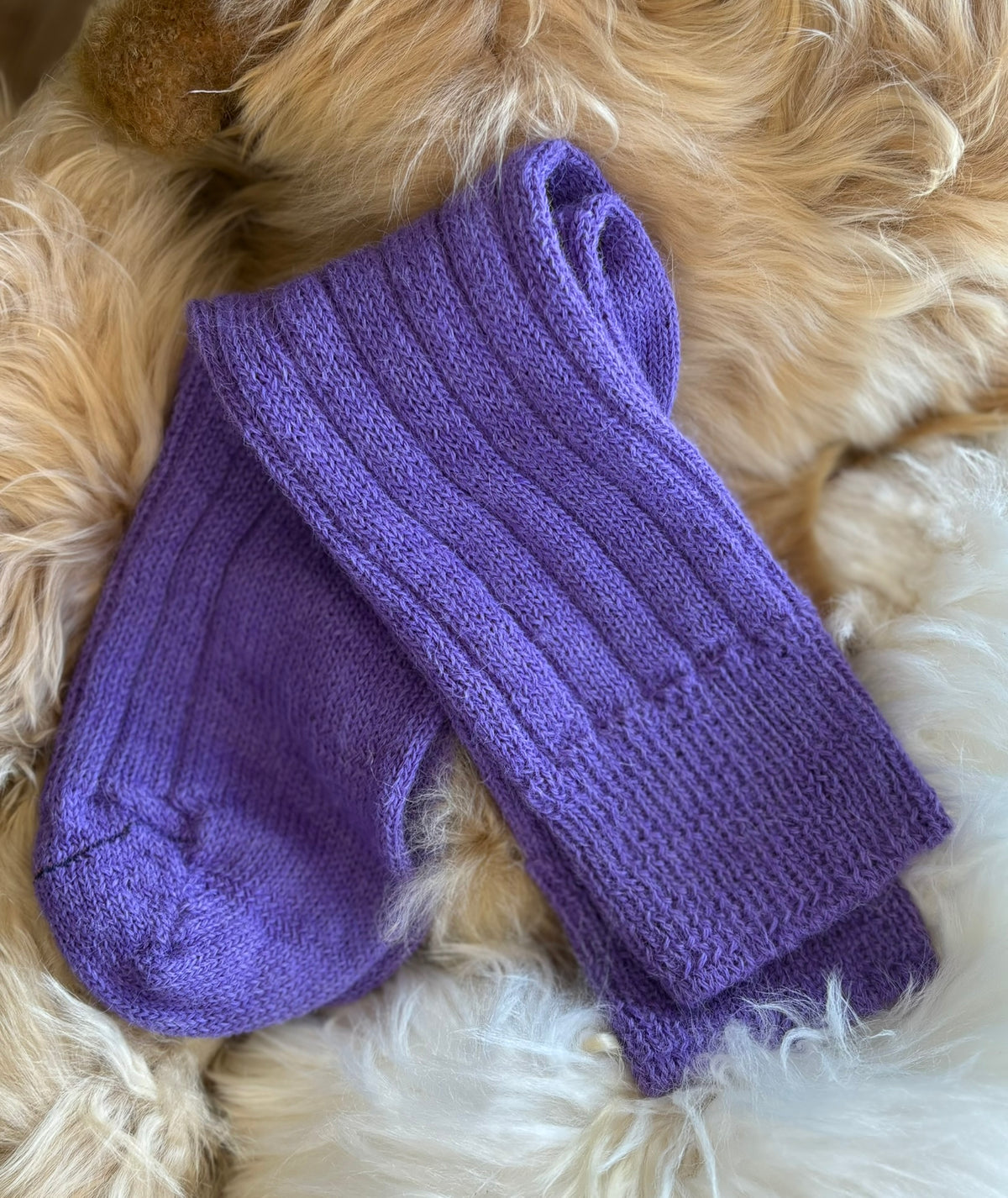 purple alpaca bed sock fluffy background