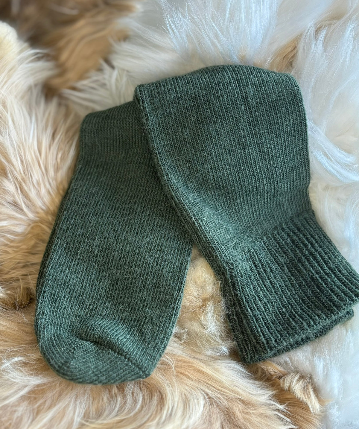 sedge green everyday alpaca socks fluffy background