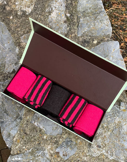 Raspberry gift box of alpaca socks