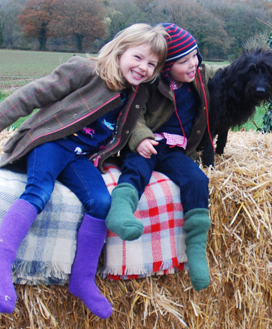 Childrens alpaca walking socks purple and sedge green on straw bale