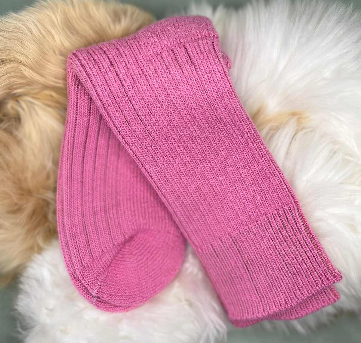 Bright Pink alpaca short ribbed socks on a fluffy white and beige surface