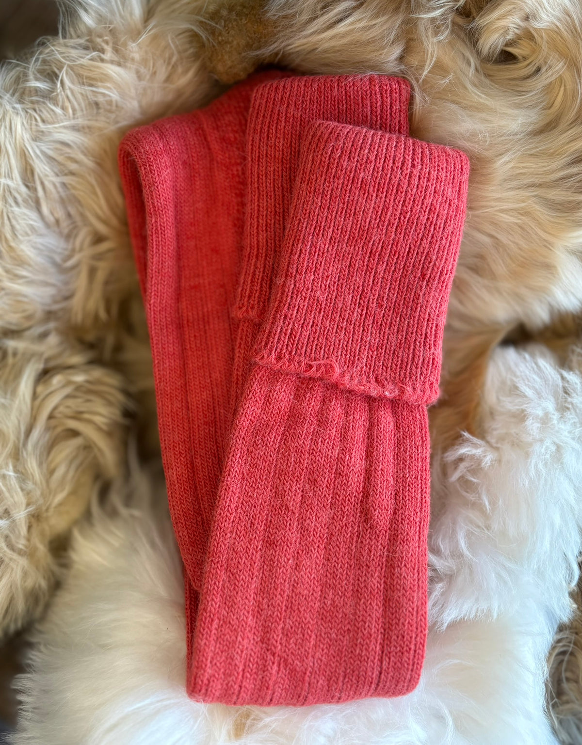 burnt orange alpaca country socks fluffy background