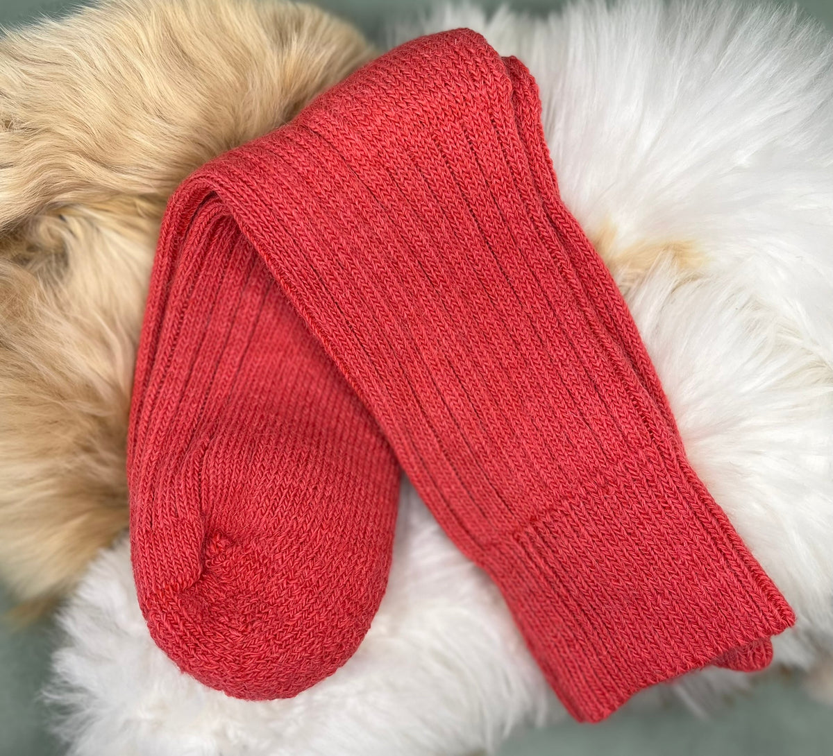 burnt orange short ribbed alpaca socks fluffy background