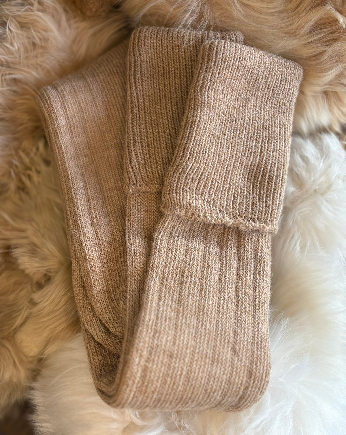 fawn alpaca country socks fluffy background
