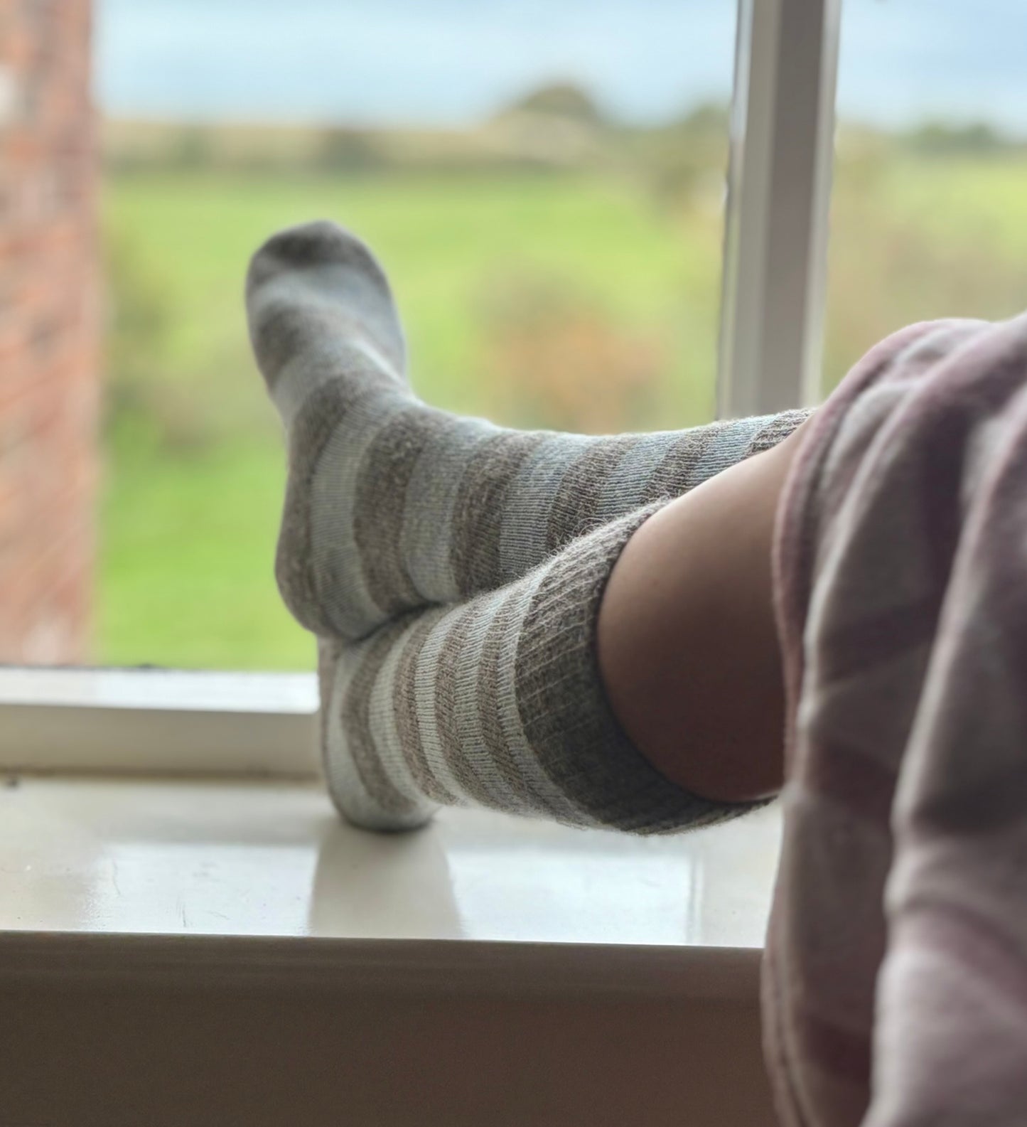 Long Alpaca Lounge Socks
