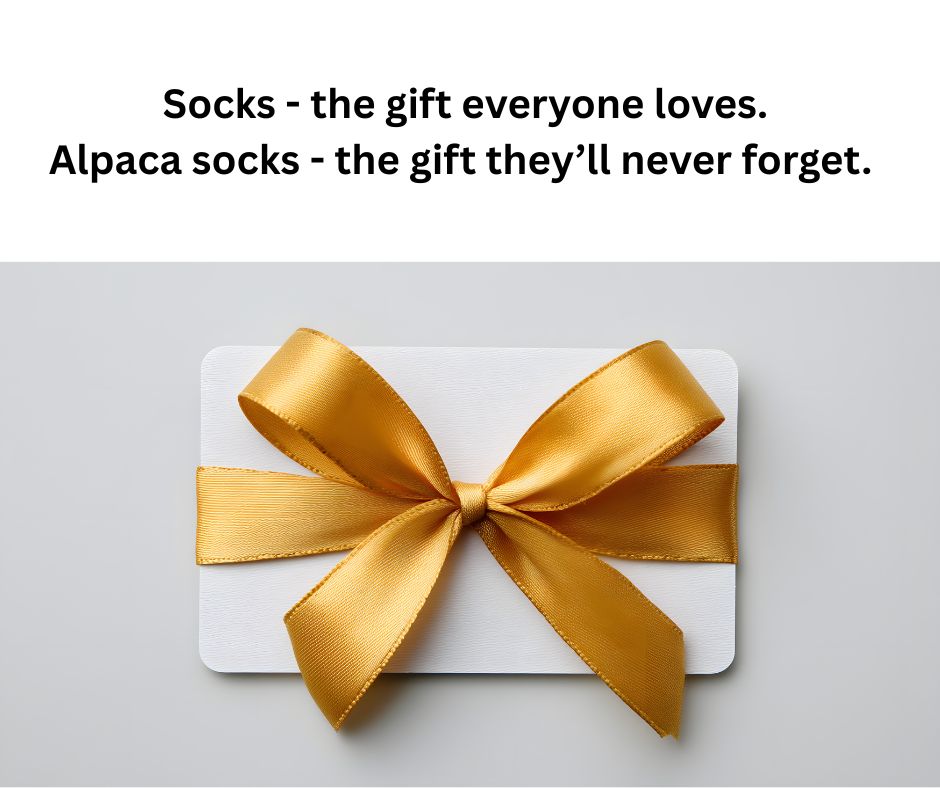 White card with a gold ribbon on a light grey background, text about alpaca socks.