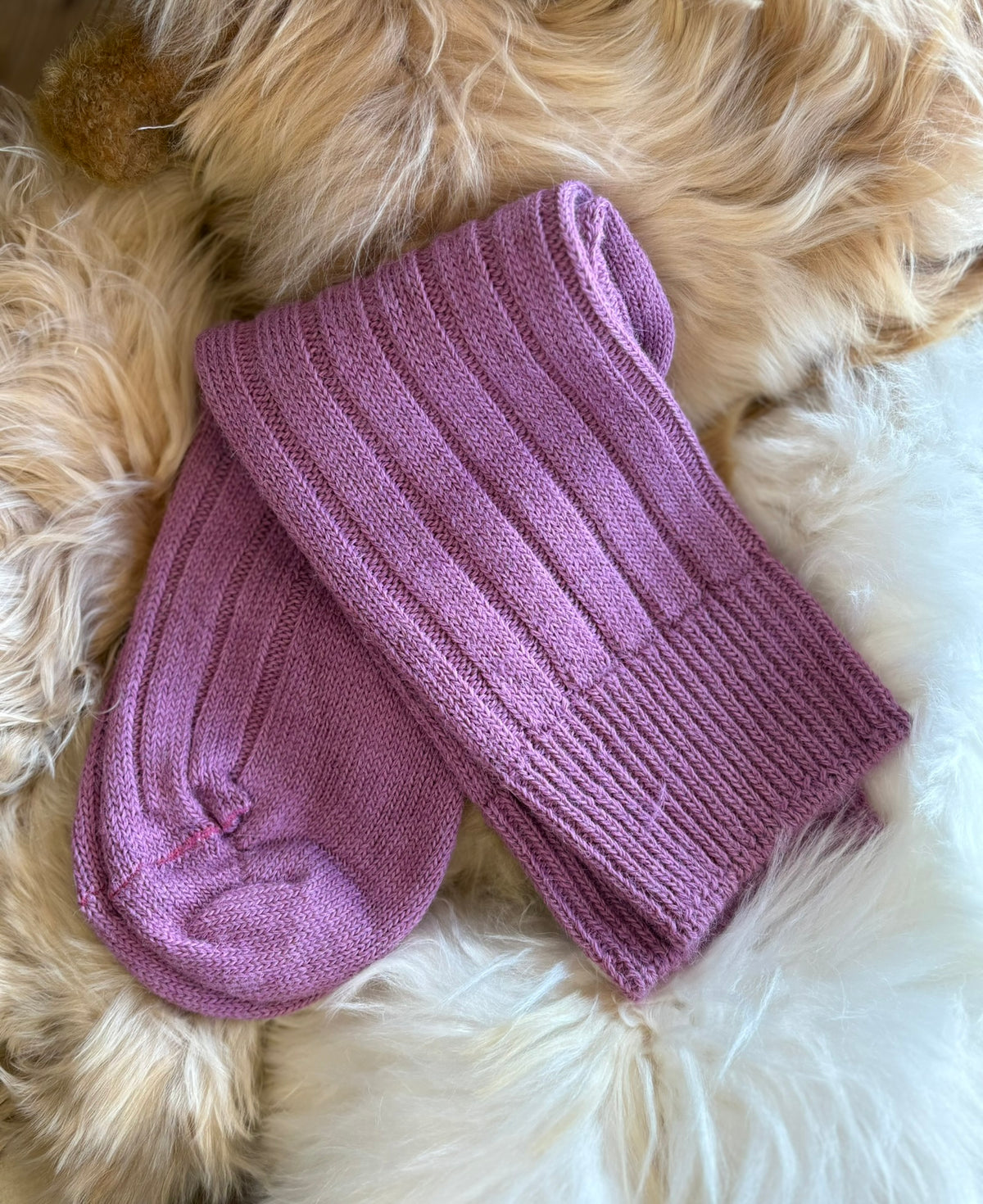 heather alpaca bed socks fluffy background