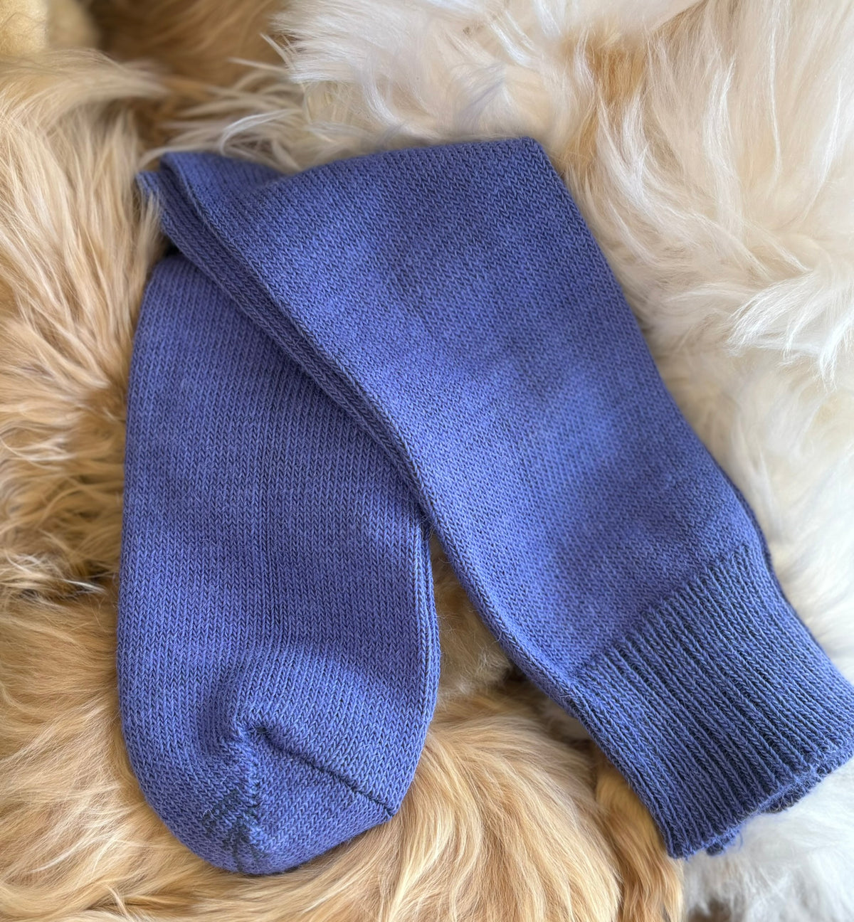 Alpaca Everyday Socks for Children