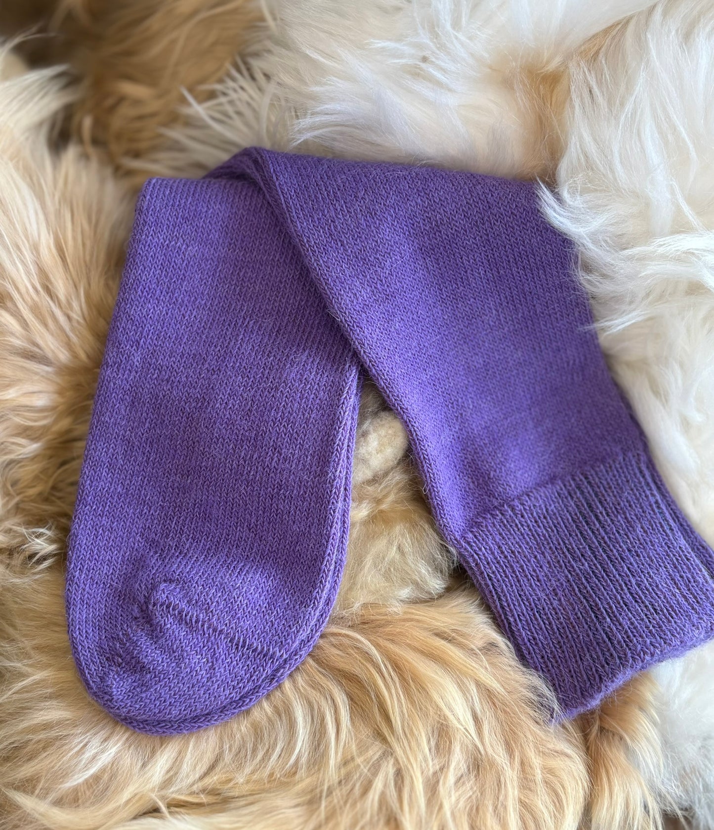 Alpaca Everyday Socks