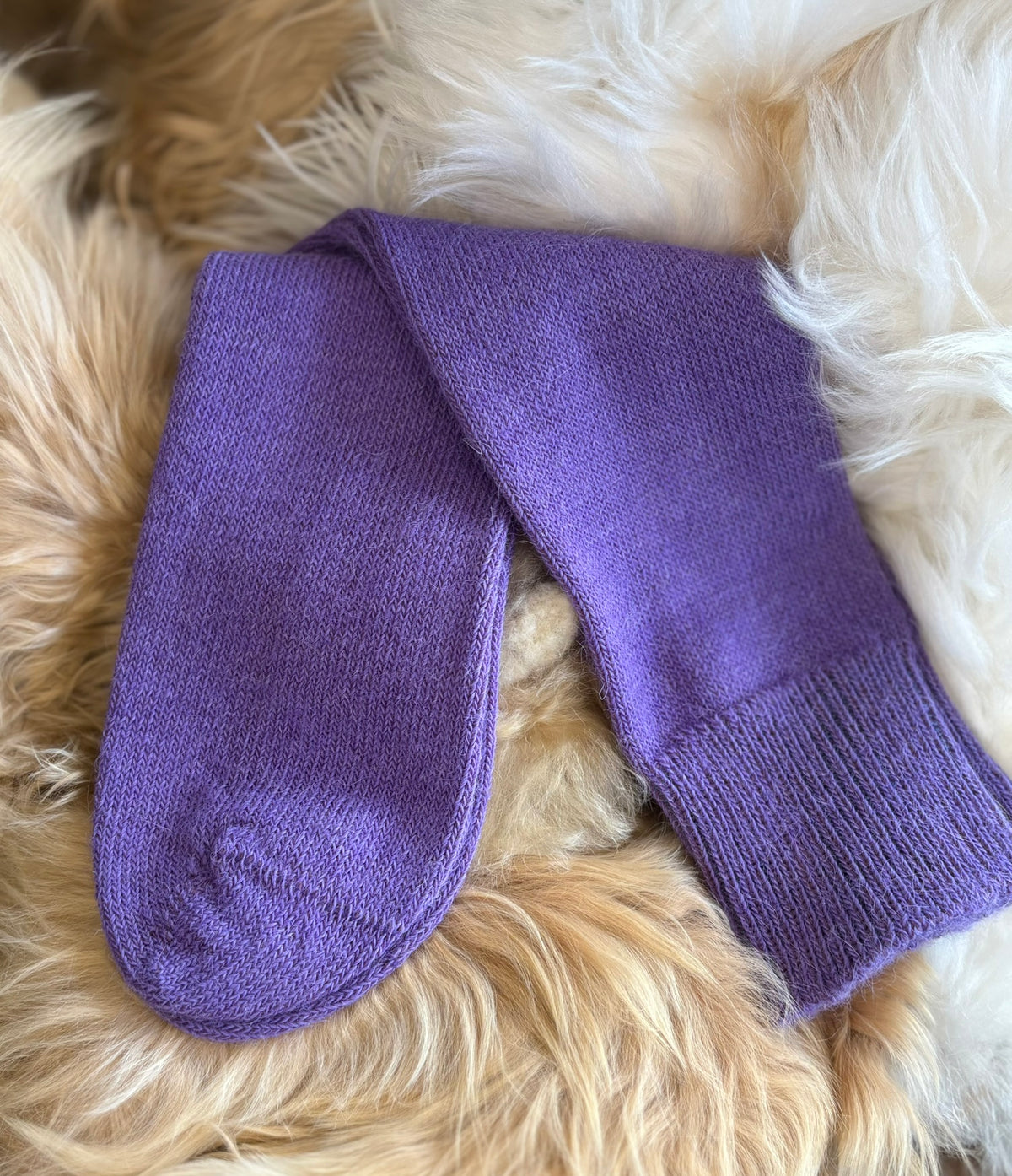 Alpaca Everyday Socks for Children