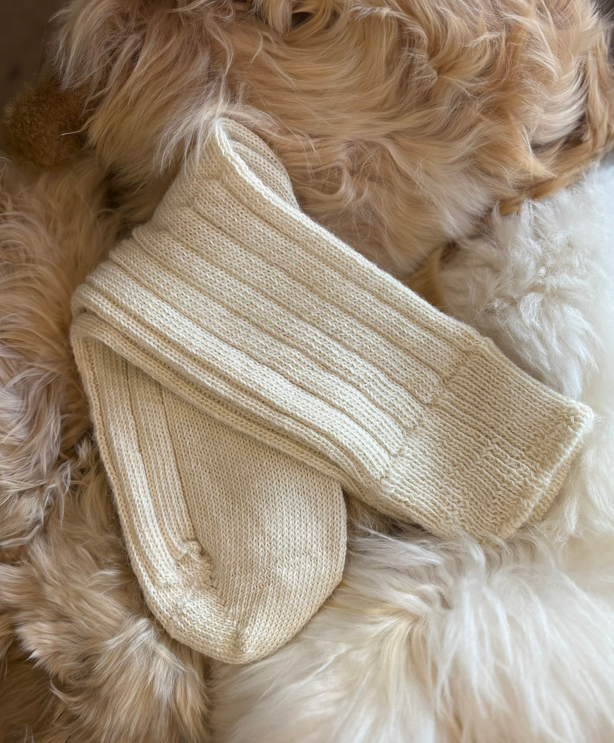 Alpaca Bed Socks