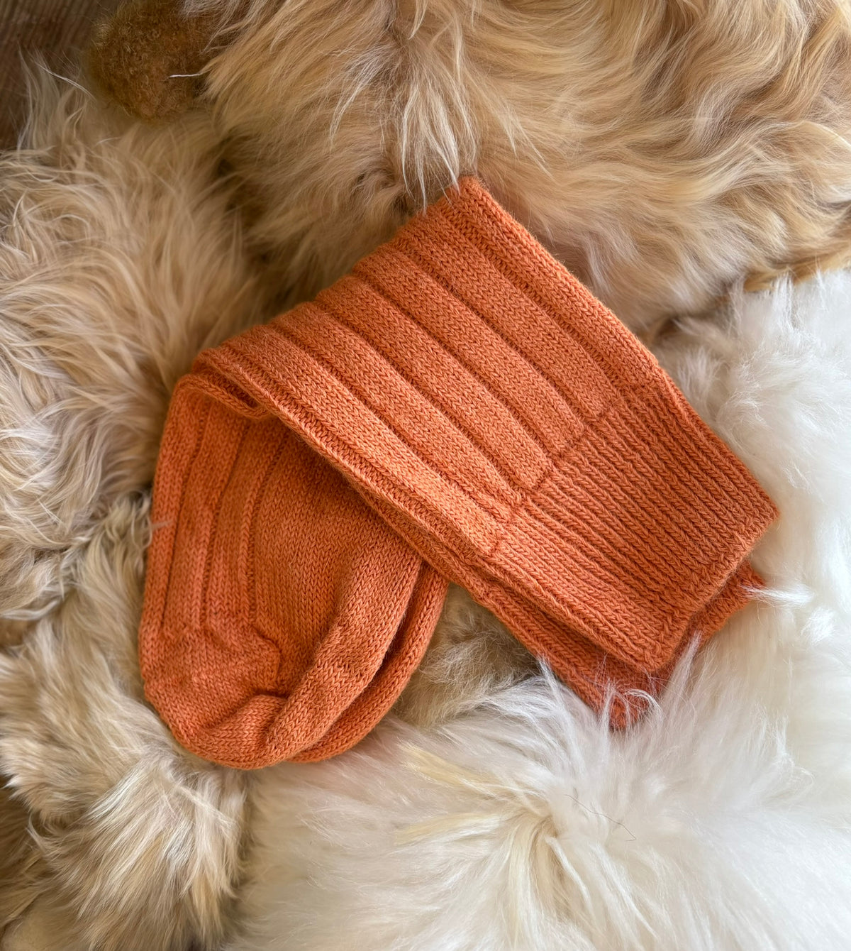 Alpaca Bed Socks
