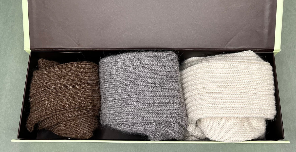 Just Socks Gift Boxes