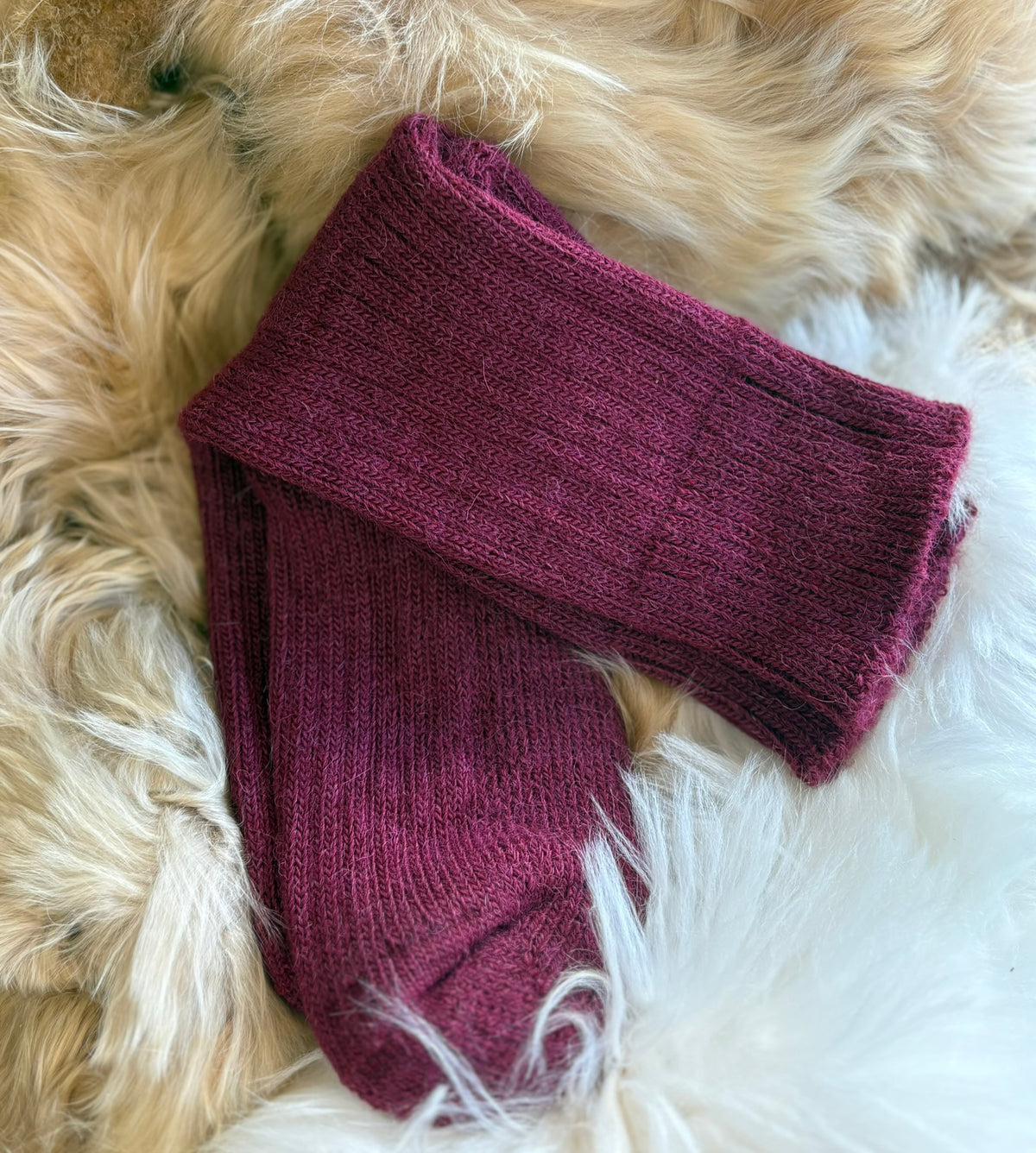 Pair of mulberry alpaca short ribbed socks on a fluffy white surface