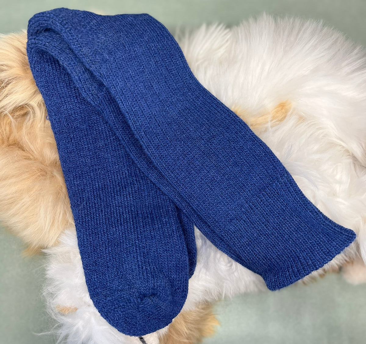 Navy short ribbed alpaca sock on a fluffy white surface