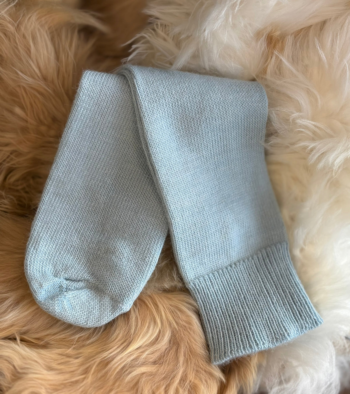 pale blue everyday alpaca socks fluffy background