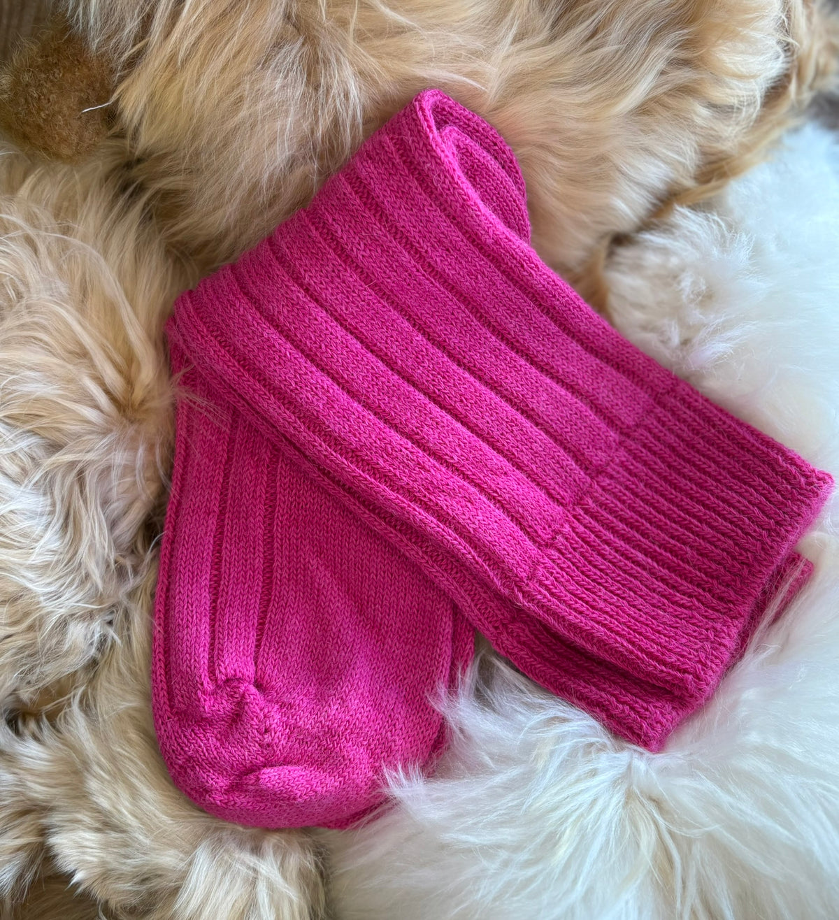 raspberry alpaca bed socks fluffy background