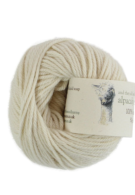 Alpaca Baby Beanie Knitting Kit