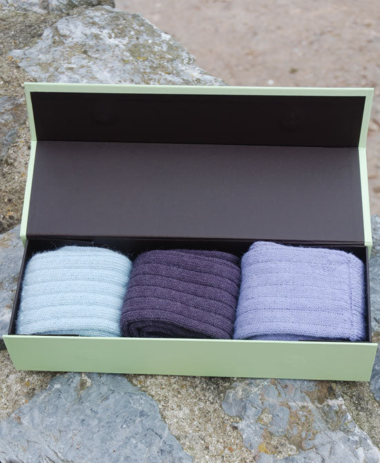 bed socks gift box of three