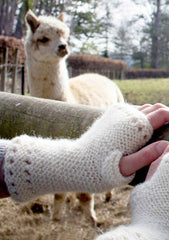 Alpaca Mitts Knitting Kit