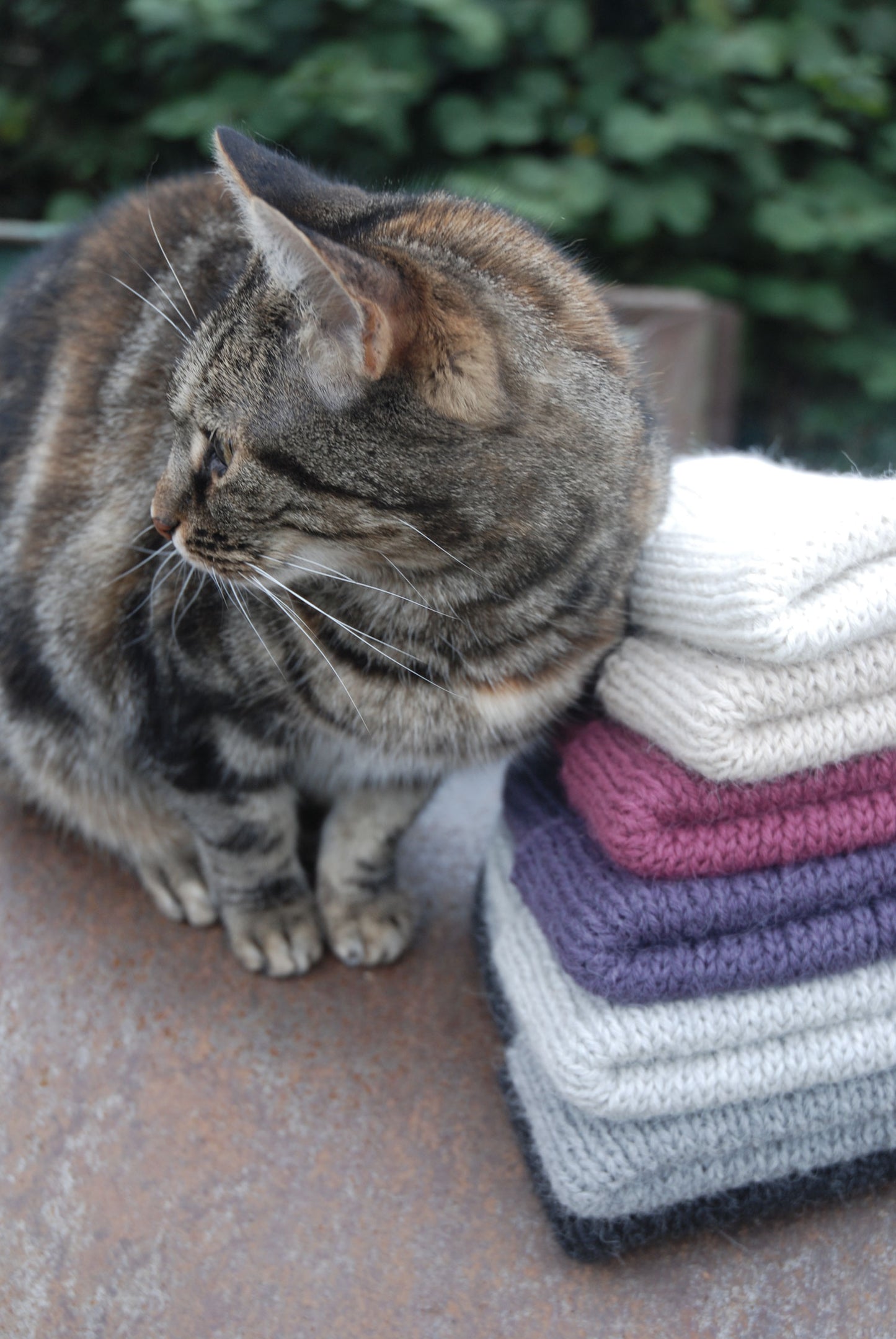 Chunky Alpaca Reversible Beanie