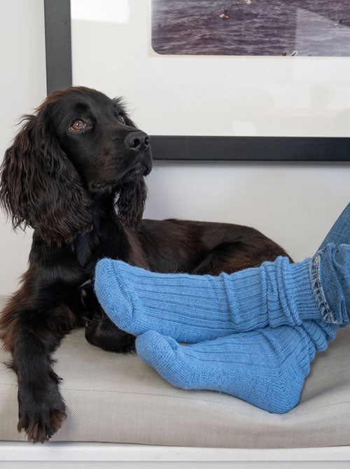 mid blue alpaca short ribbed socks with black dog