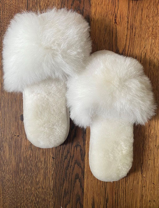 Alpaca & Merino Slides